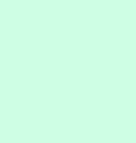 Mint Yeşili-021