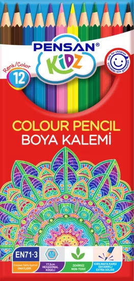 Pensan Kidz 56312 Kuru Boya Tam Boy 12 Renk