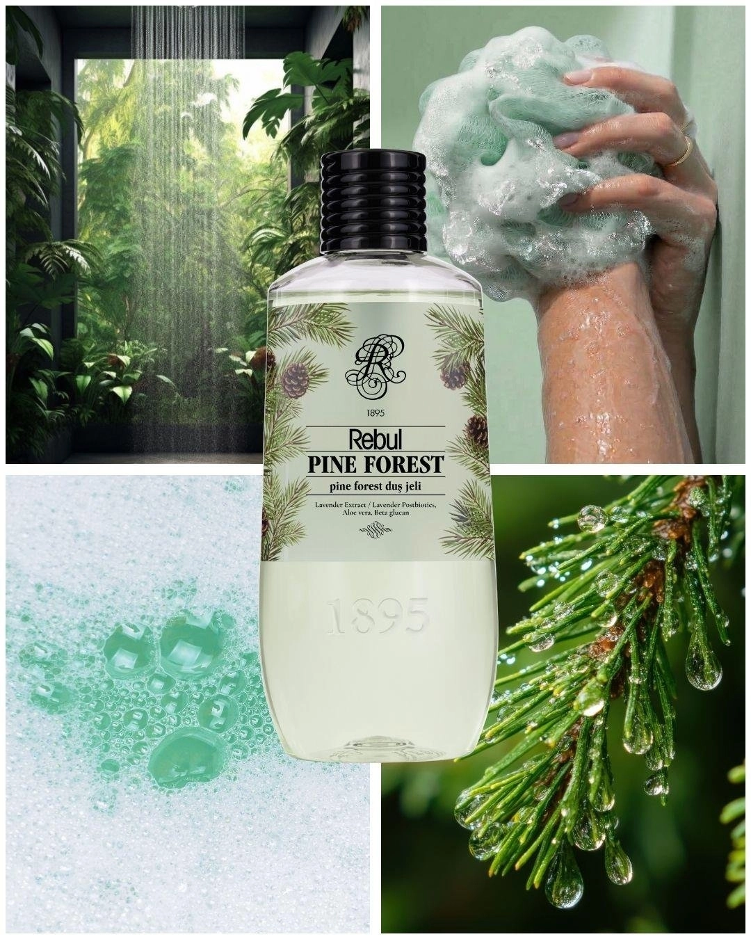 Rebul TM02843 Duş Jeli 500ml Pine Forest 